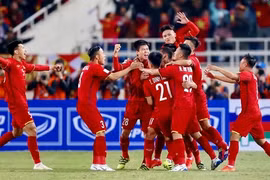 Compañía vietnamita obtiene derechos de transmisión de Copa AFF Suzuki