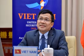 Vicecanciller vietnamita pide asistencia internacional a países en desarrollo en lucha contra el terrorismo