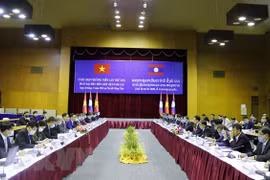 Vietnam y Laos buscan facilitar circulación de mercancías en frontera terrestre común