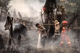 Indonesia declara estado de emergencia por incendios forestales en Kalimantan