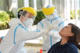Vietnam sigue sin reportar nuevos casos del contagio local del COVID-19