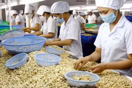EVFTA ayudará a mejorar cadena de valor de productos agrícolas vietnamitas