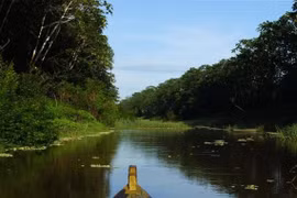 Ocho desaparecidos tras accidente fluvial en Indonesia