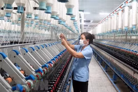 Apoyan a pymes de mujeres vietnamitas ante impactos del COVID-19