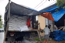 Gobierno vietnamita asigna arroz para provincias centrales afectadas por desastres naturales