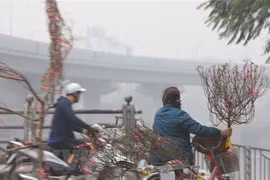 Debaten en Hanoi medidas para mejorar calidad de aire 