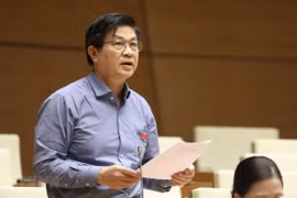 Diputados vietnamitas proponen intensificar rigor en retiro de bienes apropiados indebidamente