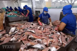 Disminuyen exportaciones pesqueras de Vietnam por COVID-19