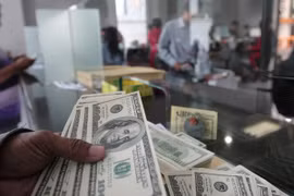 Reserva de divisas de Indonesia se acerca al récord