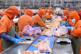 Promueven Vietnam y Japón inversiones para desarrollar cadenas alimentarias