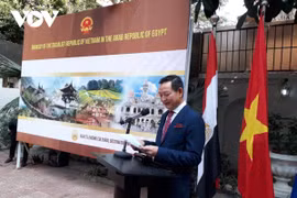 Divulgan valores culturales vietnamita en Egipto
