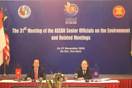 ASEAN por fomentar cooperación ambiental