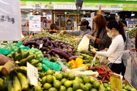Exportaciones de verduras y frutas vietnamitas superan mil 500 millones de dólares