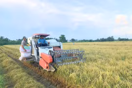 Provincia vietnamita de Vinh Long por aumentar 36 por ciento su ingreso presupuestario