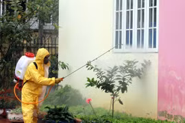 Con cuatro nuevos casos de COVID-19, suman 53 infectados en Vietnam