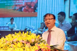 Ministerio de Industria y Comercio de Vietnam trabaja por promover ventas de lichi