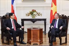 El presidente de Vietnam, Luong Cuong, (I) se reúne con el presidente del Senado de Chile, José García Ruminot. (Fuente: VNA)