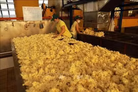 Procesamiento de caucho en una fábrica de la empresa Phu Rieng. (Foto: VNA)