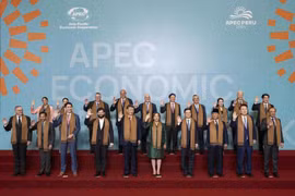 El presidente vietnamita, Luong Cuong, y otros líderes en la 31ª Reunión de Líderes Económicos de la APEC en Lima, Perú. (Foto: VNA)