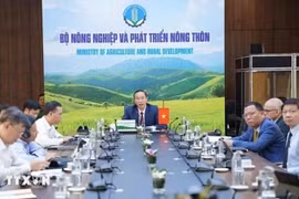 El viceministro de Agricultura y Desarrollo Rural, Phung Duc Tien, asistió a la 46ª Reunión en línea de Ministros de Agricultura y Silvicultura de la ASEAN. (Foto: VNA)