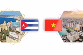 Relaciones de solidaridad tradicional y amistad especial entre Vietnam y Cuba