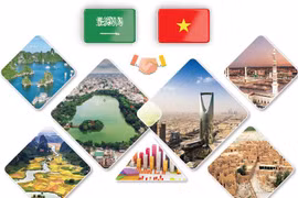 Impulsan relaciones de cooperación Vietnam - Arabia Saudita