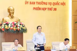 El presidente de la Asamblea Nacional, Tran Thanh Man, interviene en la sesión. (Foto: VNA)