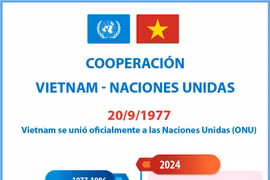 Vietnam y la ONU mantienen cooperación eficiente