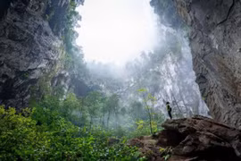 Cine promueve con eficiencia el turismo de Vietnam