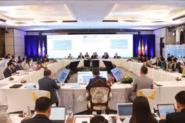 Vietnam propone medidas para fortalecer cooperación entre países de CLMV