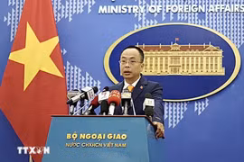 Reiteran oposición contra violación de soberanía de Vietnam sobre Hoang Sa y Truong Sa