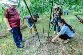 Promueven localidades vietnamitas producción agrícola asociada con ecoturismo