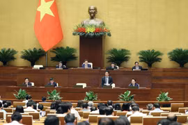 Parlamento de Vietnam explica cuestiones relativas a comercio y medio ambiente
