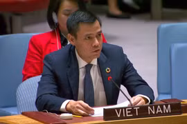 Embajador vietnamita resalta ante ONU multilateralismo centrado en personas