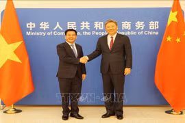 Debaten medidas para intensificar lazos económicos Vietnam- China