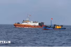 Aprecian cooperación Vietnam- UE en combate contra pesca ilegal