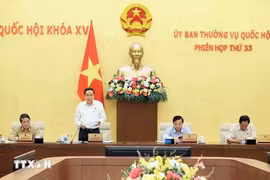 Debaten preparativos para séptimo período de sesiones del Parlamento vietnamita