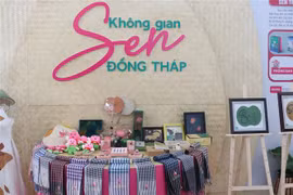 Japón importará en 2024 más raíz de loto de provincia vietnamita de Dong Thap
