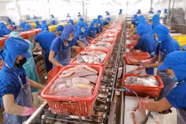China sigue siendo mayor importador de pangasius vietnamita en 2022 