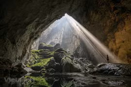 Parque vietnamita Phong Nha-Ke Bang en la lista de los 25 mejores del mundo