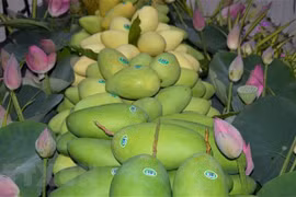 Vietnam, tercer mayor proveedor de mango de Corea del Sur 