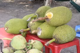 Vietnam promueve exportaciones de yaca congelada a Australia