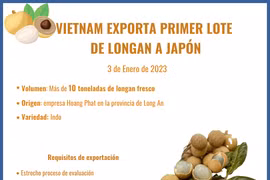 Vietnam exporta primer lote de longan a Japón