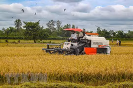 Estados Unidos se erige en el mayor exportador de productos agrícolas a Vietnam