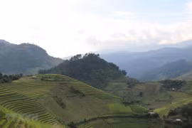 AFP destaca la impresionante belleza de terrazas arroceras de Mu Cang Chai en Vietnam