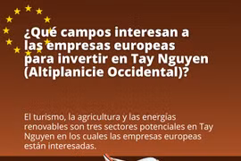 Empresas europeas están interesadas en invertir en Vietnam