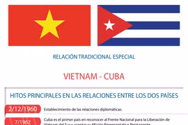 Relaciones tradicionales especiales Vietnam- Cuba