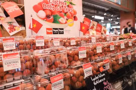Lichis frescos vietnamitas se encuentran en sistema de supermercados más grande de Tailandia
