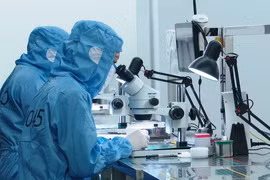 EuroCham: Confianza de las empresas muestra signos de recuperación