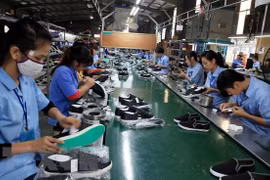 Economía de Vietnam se prevé crecer en 2022